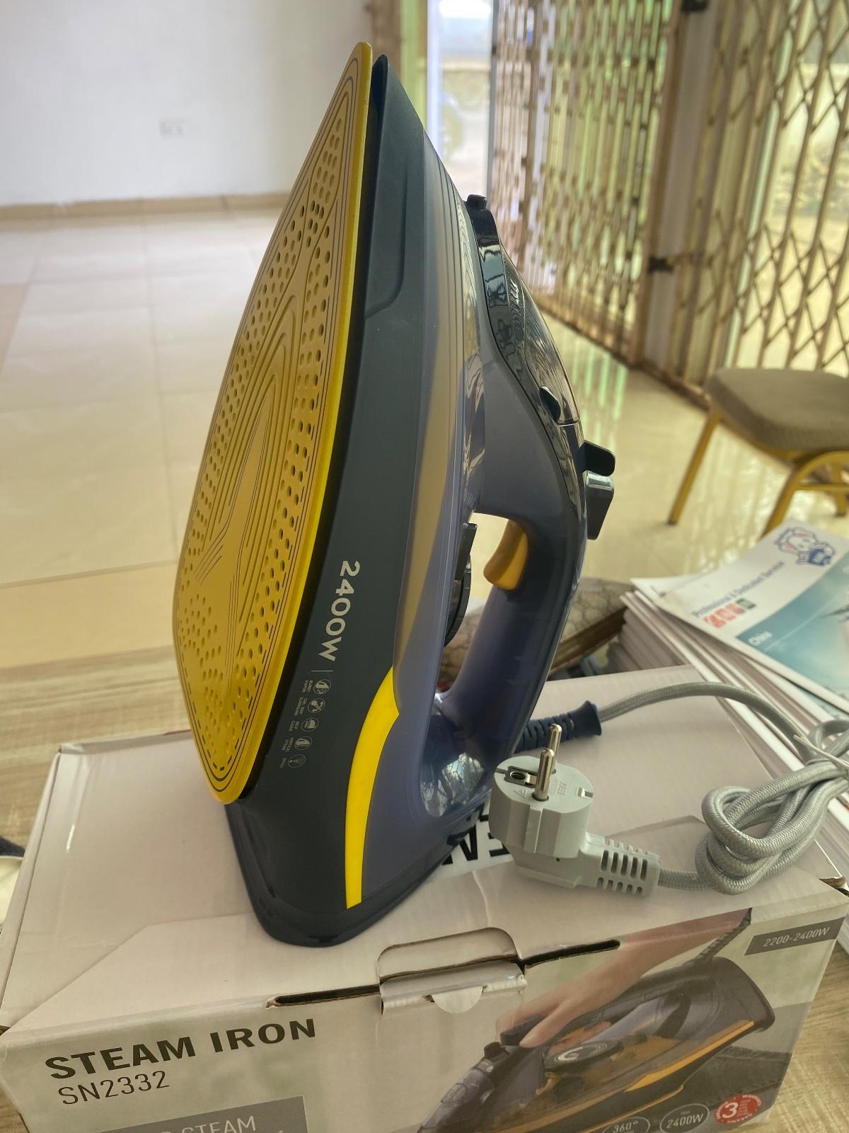 Steam iron 