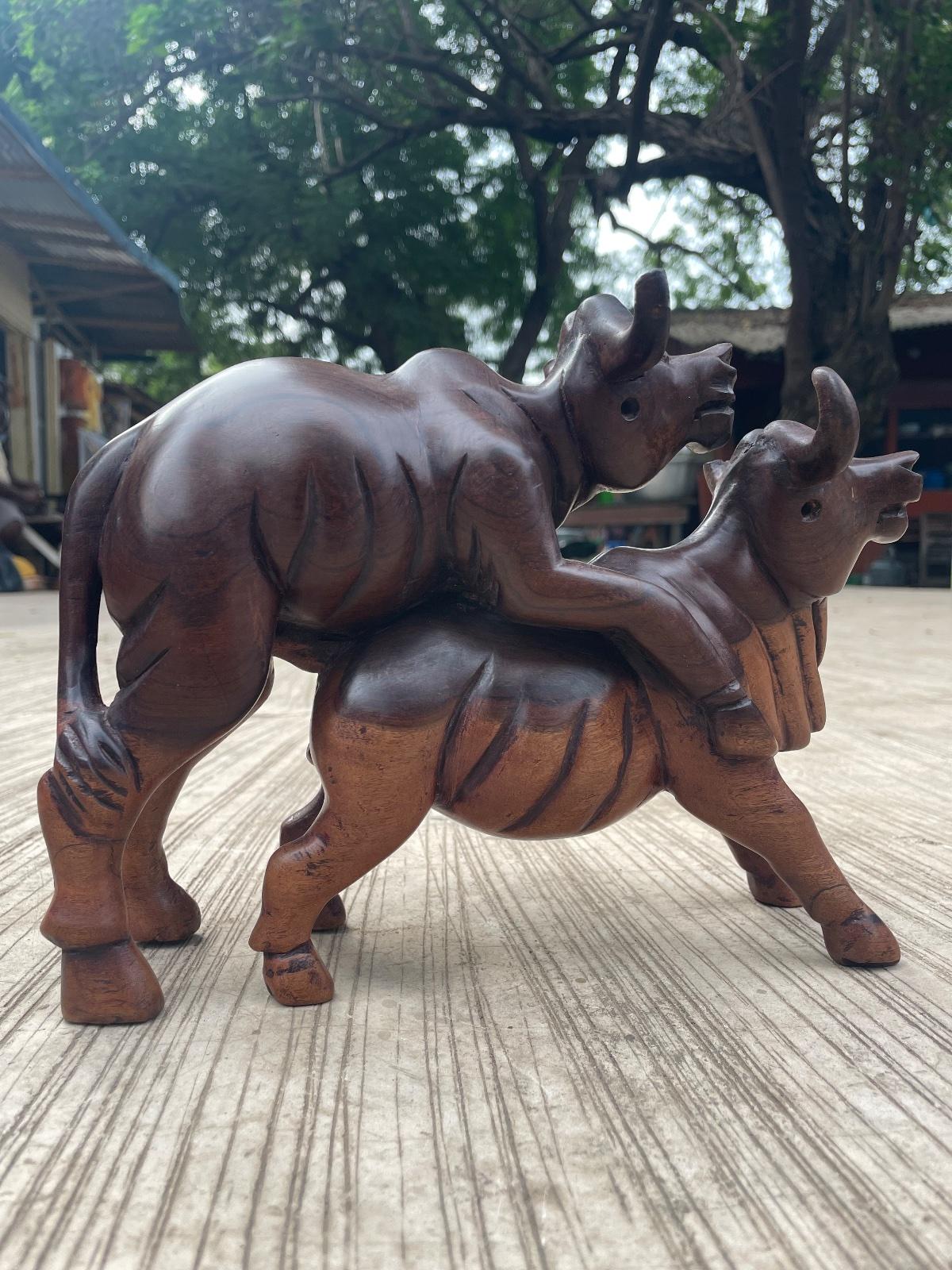 Buffalo lovers.